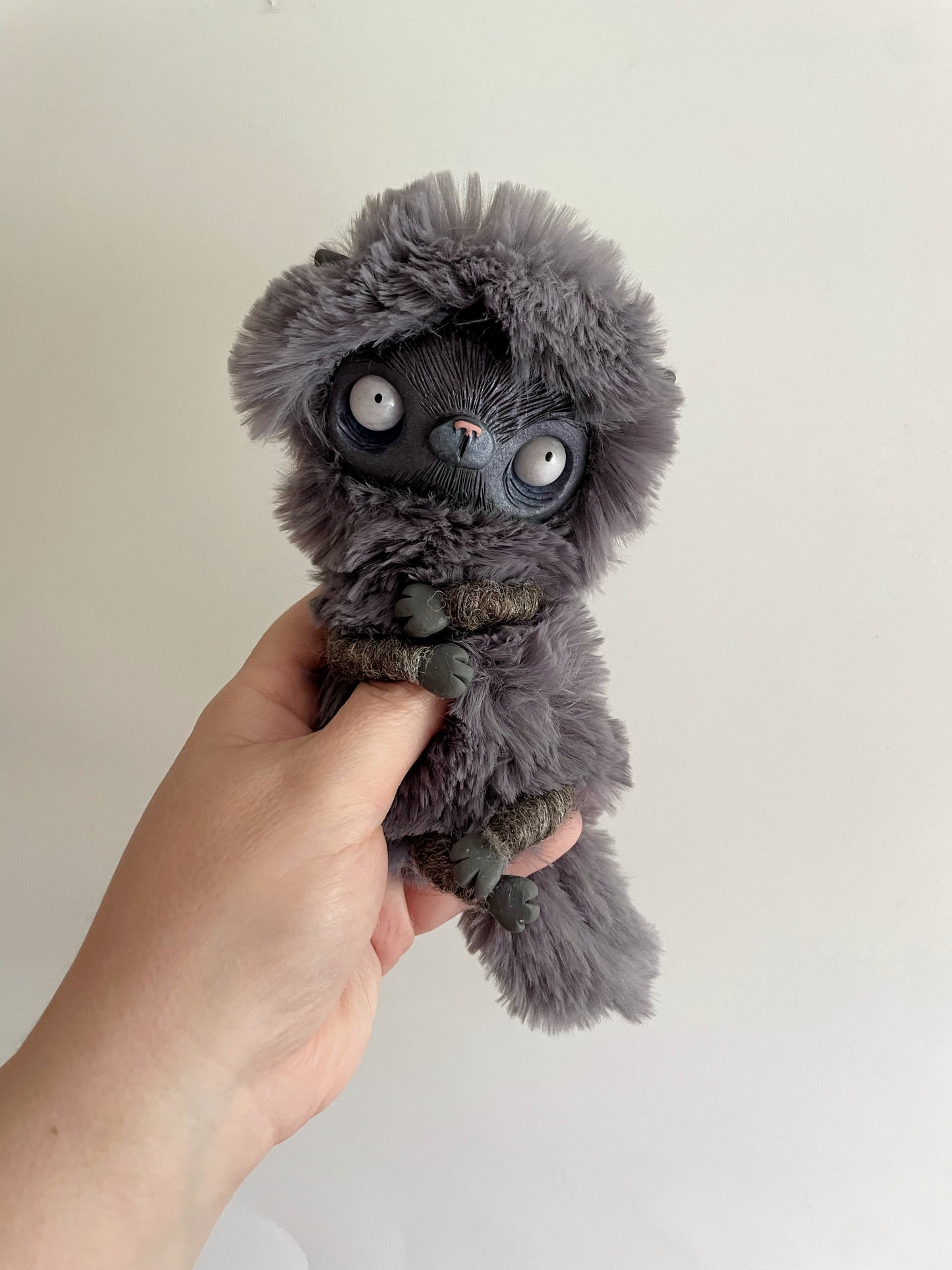 Scaredy Cat, Asher