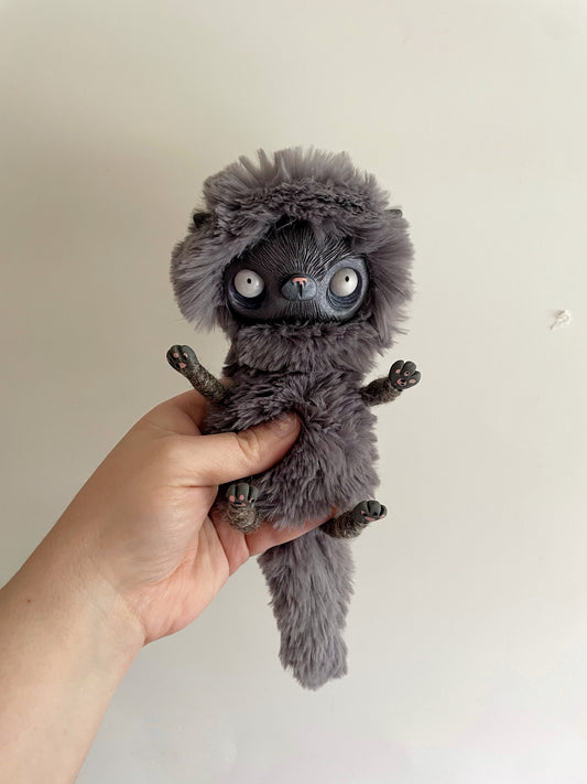 Scaredy Cat, Asher